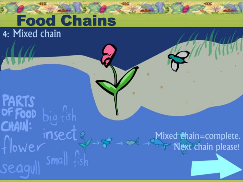 The food chain spotlight 7 презентация