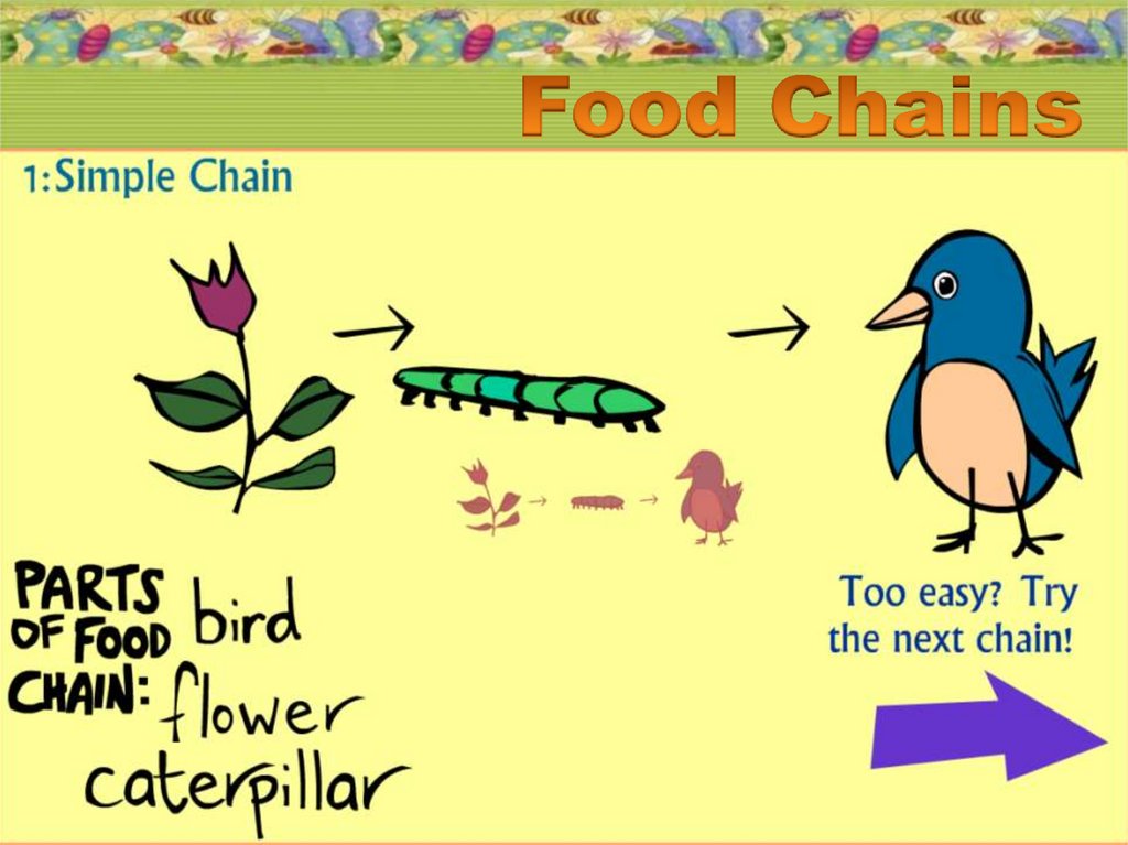 The food chain spotlight 7 презентация