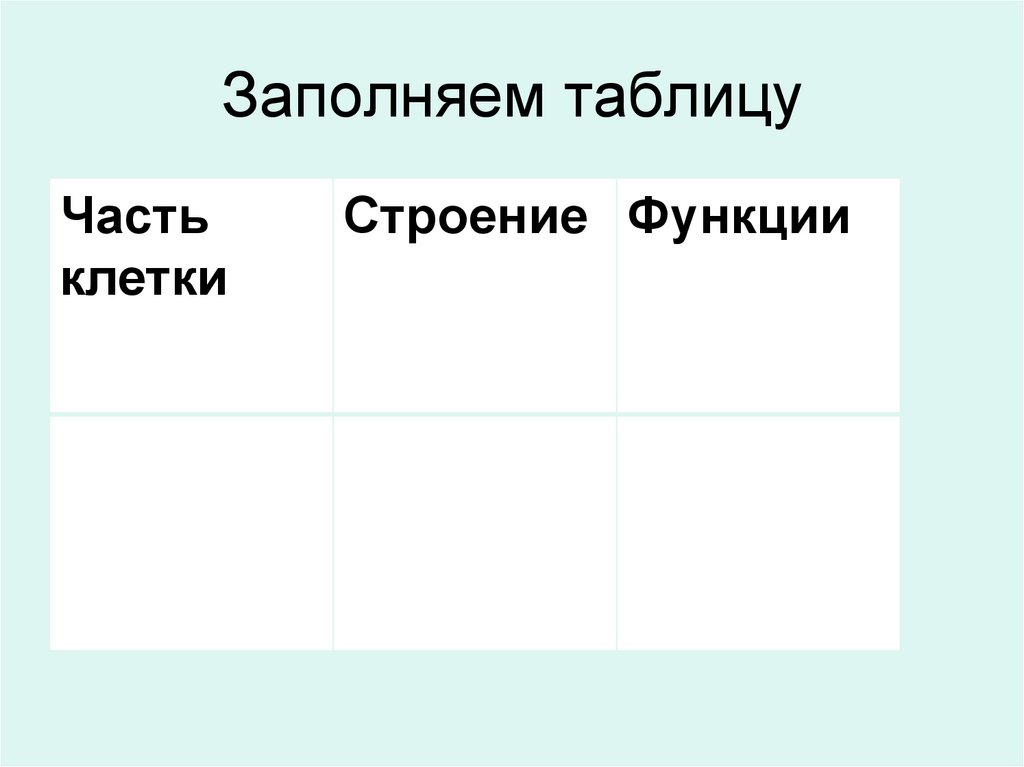 Заполняем таблицу