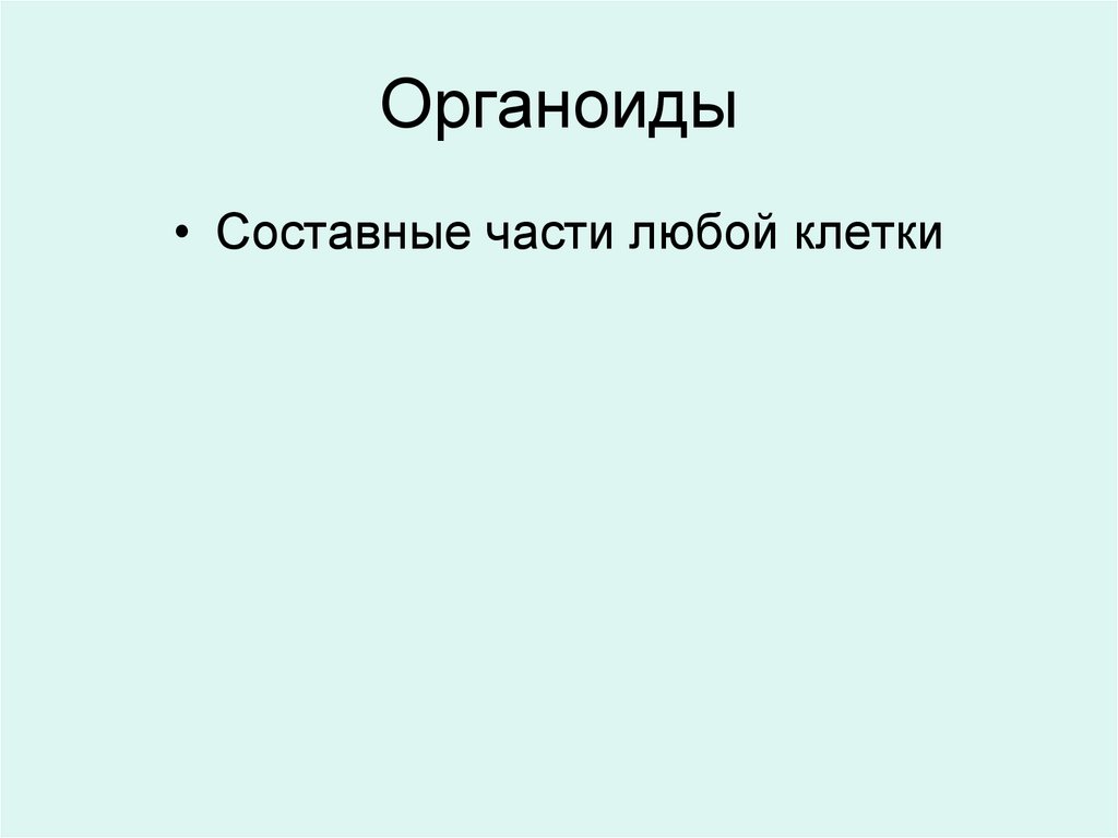 Органоиды