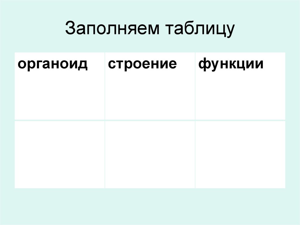 Заполняем таблицу