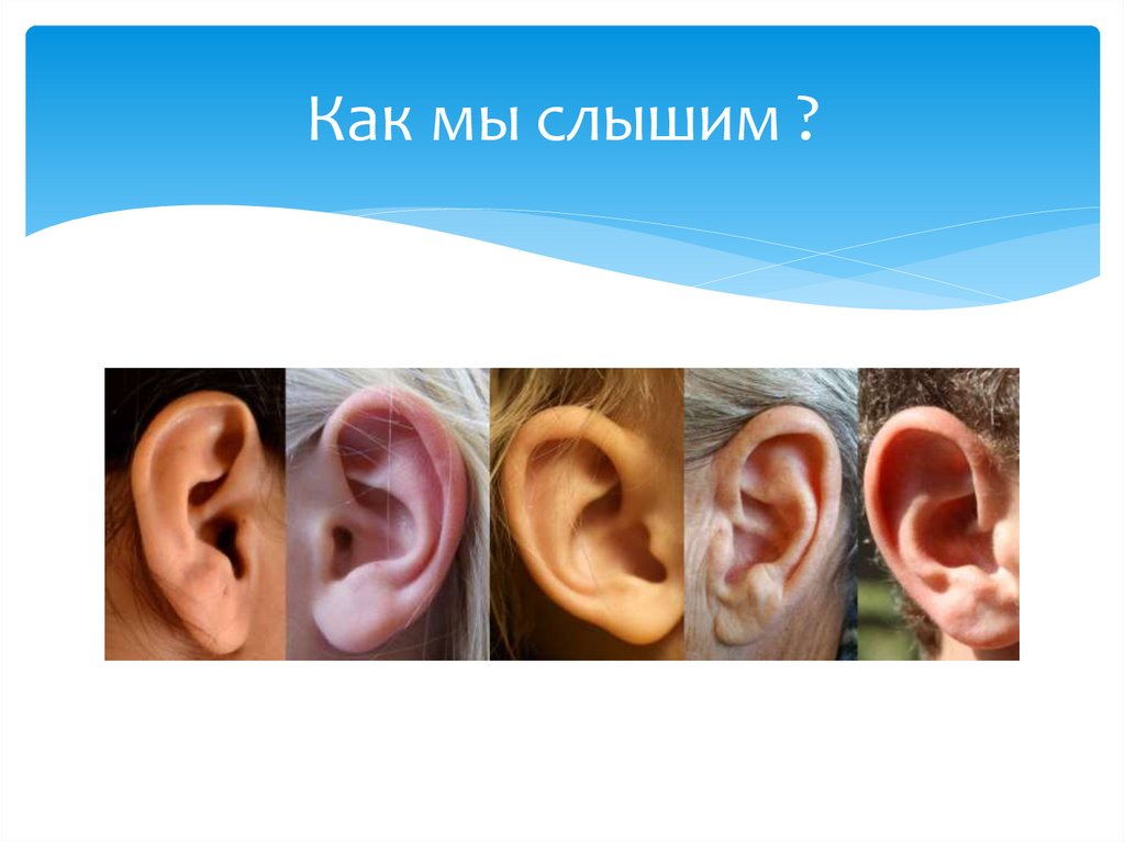 Тугоухость. Школа пациента. Часть 1 - презентация онлайн