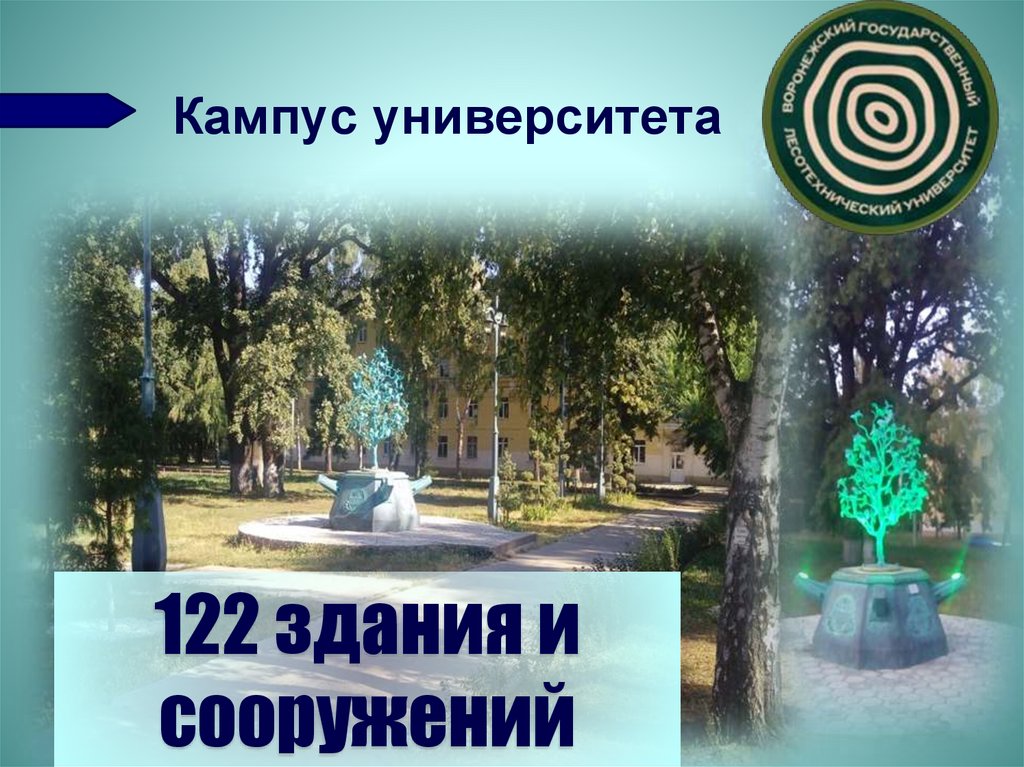 ВГЛТУ Общая октябрь 2023 - презентация онлайн