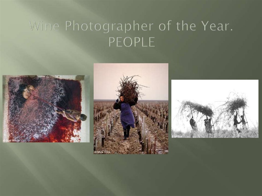 Wine Photographer of the Year. PEOPLE