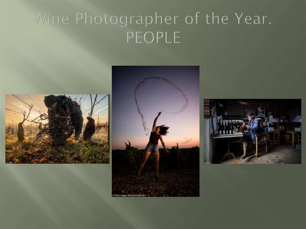 Wine Photographer of the Year. PEOPLE