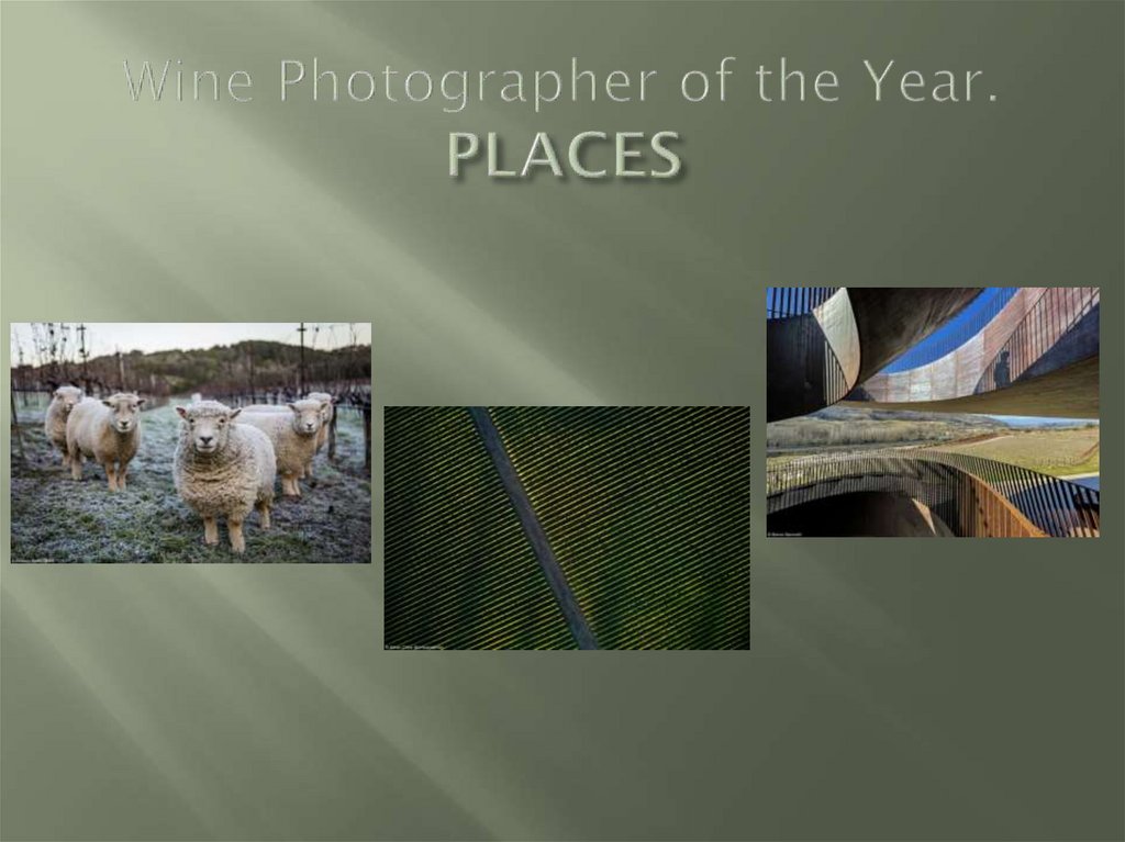 Wine Photographer of the Year. PLACES