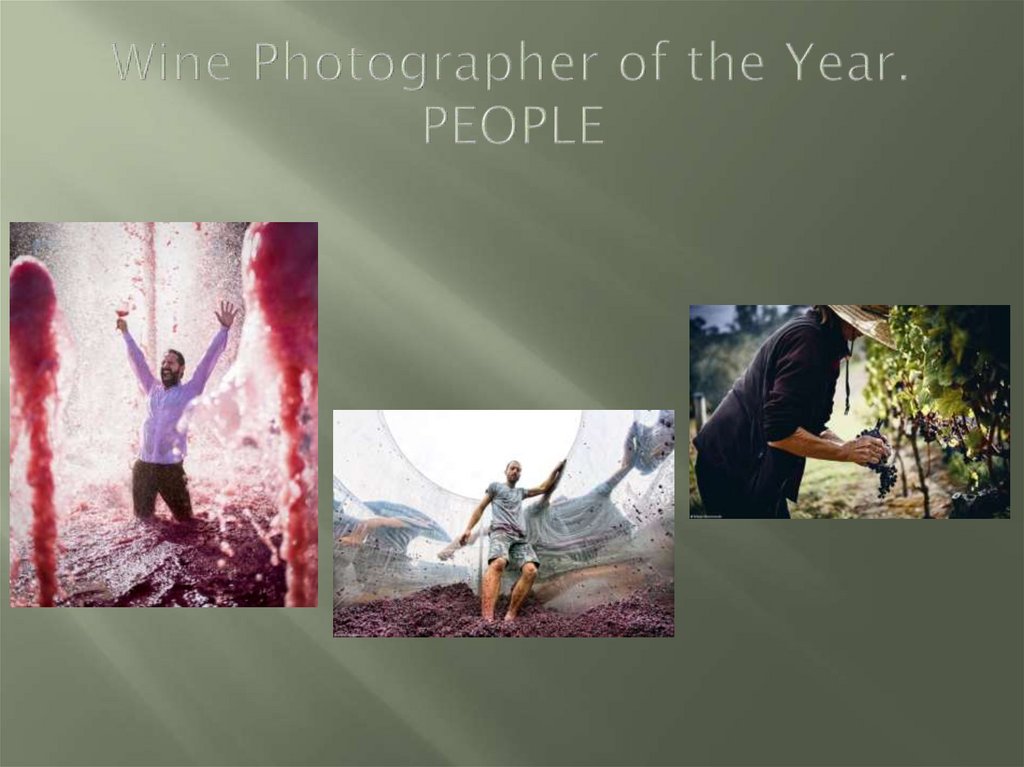 Wine Photographer of the Year. PEOPLE