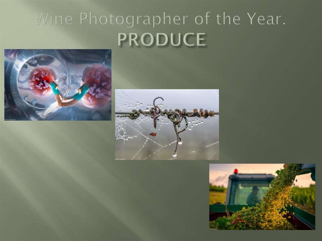 Wine Photographer of the Year. PRODUCE