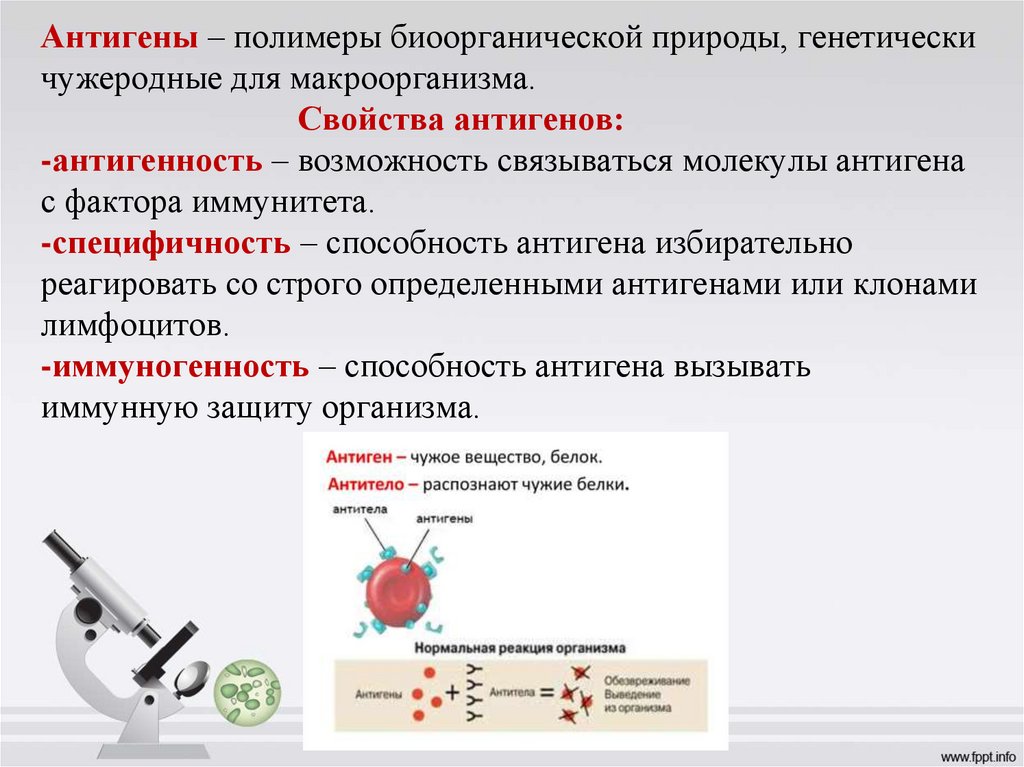 Свойства антигенов. Характеристика антигенов. Факторы определяющие антигенность. Антигенные свойства крови. Антигенные свойства бактерий