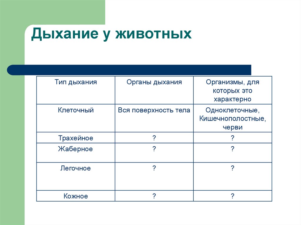 Презентация дыхание животных 6 класс