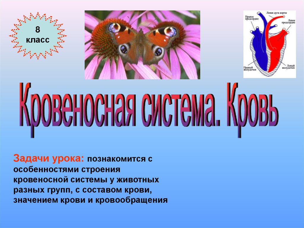 Кровеносная система 8 класс биология. Кровеносная система 8 класс презентация. Заболевания кровеносной системы презентация 8 класс. Лэпбук по биологии 8 класс кровеносная система.