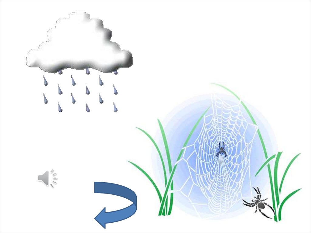 Познавательная игра "Экологическая паутина" - презентация онлайн