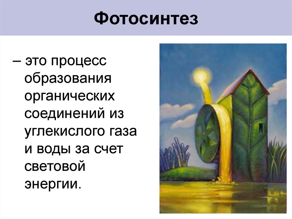 Фотосинтез