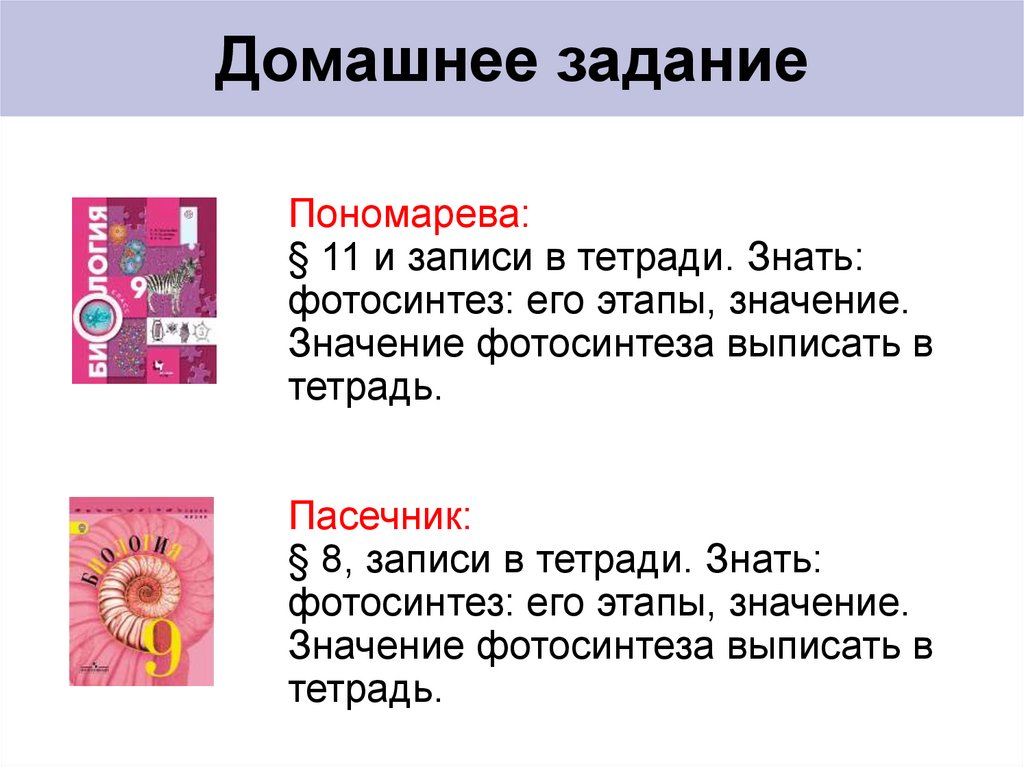 Домашнее задание