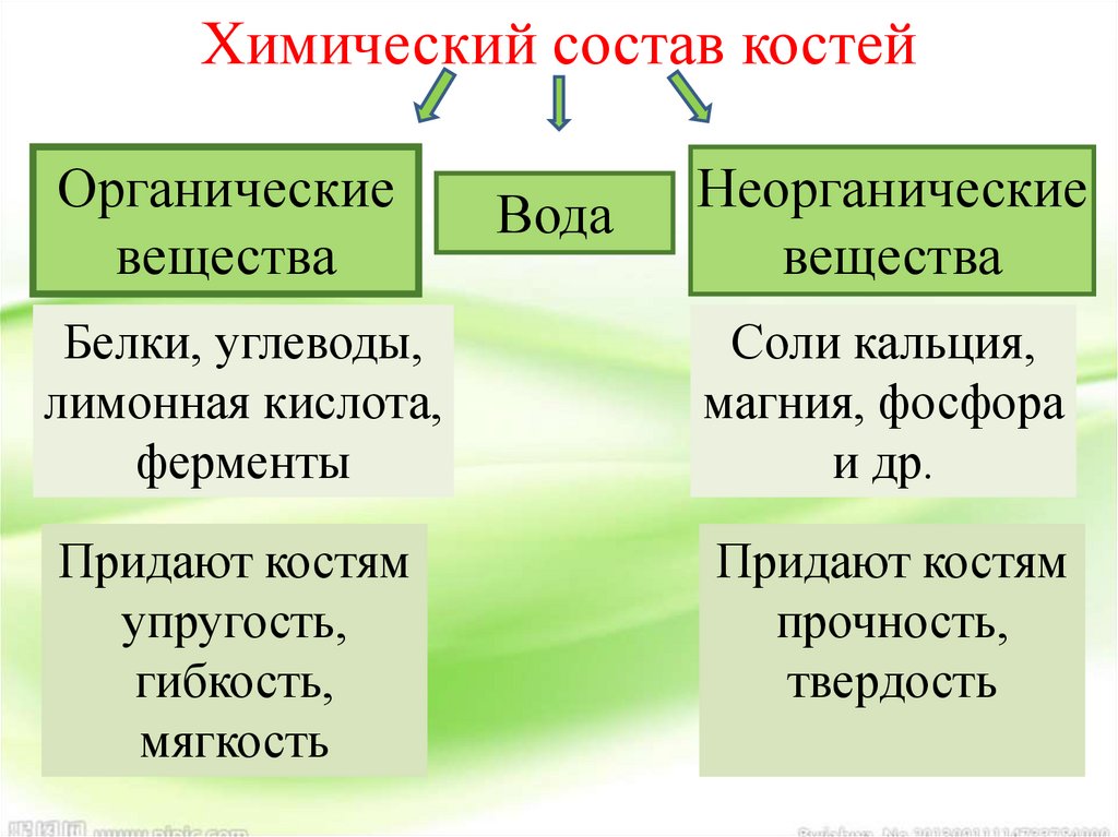 Из чего состоит структура презентации