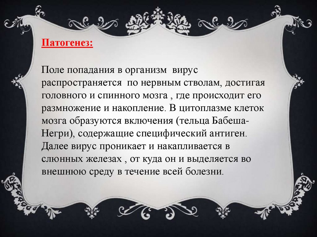 Бешенство - презентация онлайн