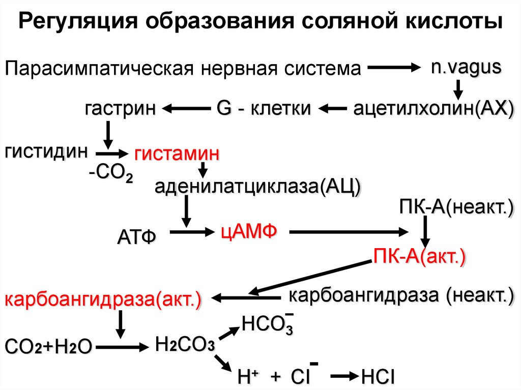 Хром и соляная кислота реакция