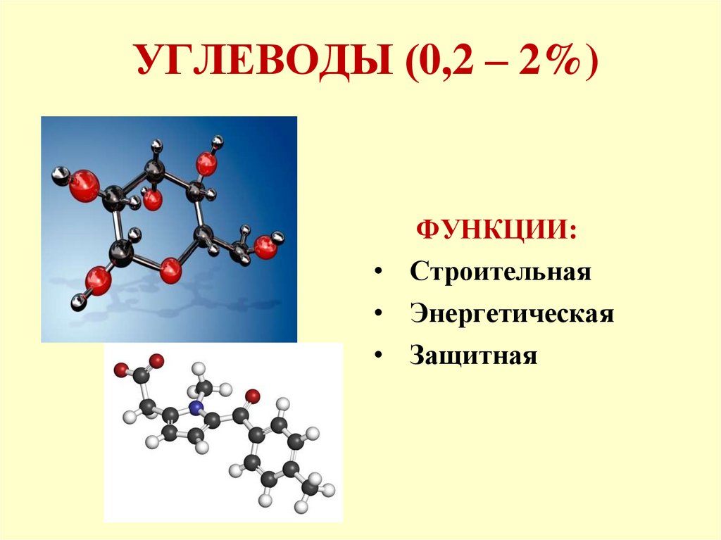 Углеводы строение и функции. Химическая структура углеводов. Химическое строение углеводов. Углеводы строение атома.