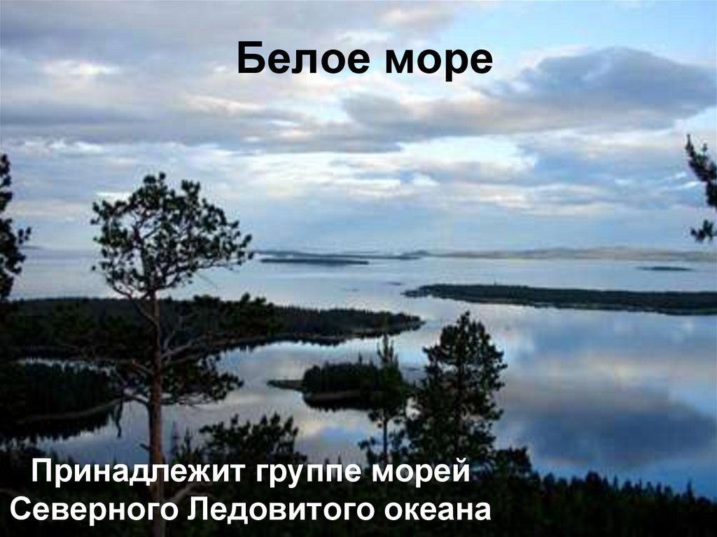 Белое море презентация. Белое море принадлежит. Цитаты про белое море. Белое море окружающий мир презентация. Стихотворение о белом море.