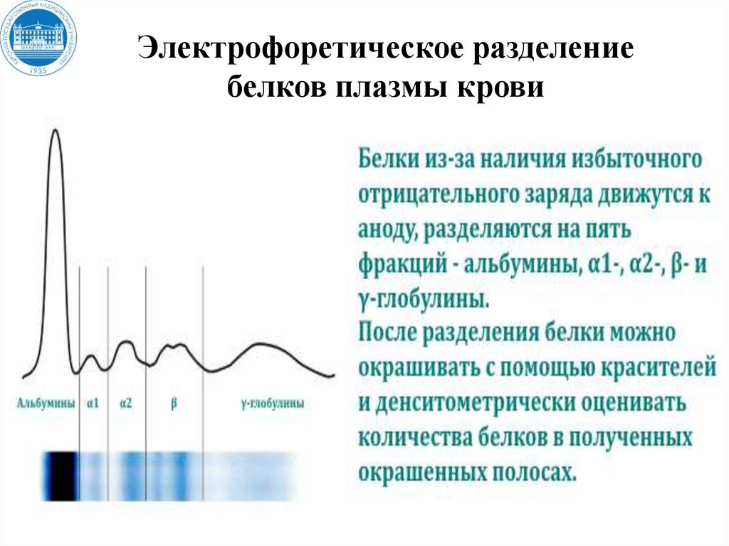 Анализ на белки плазмы. Методы разделения белков сыворотки крови. Электрофоретическая подвижность белков. Электрофоретическая подвижность. Методы определения белков плазмы крови.