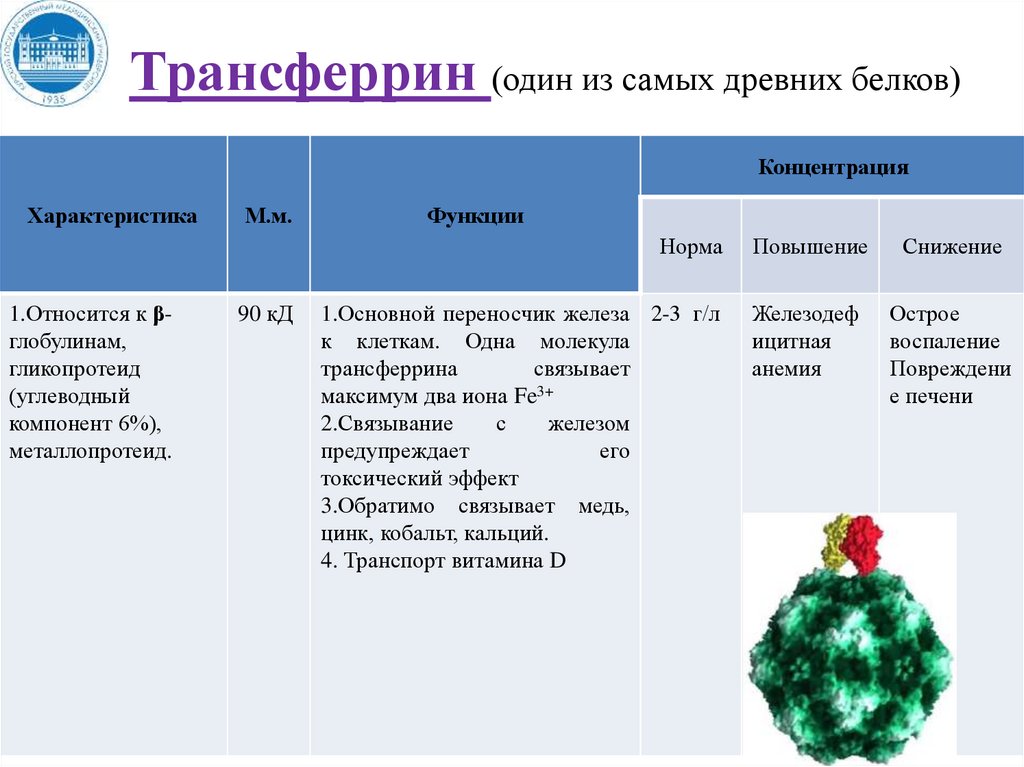 Функции ферментов таблица. Церулоплазмин функции. Из чего состоят сывороточные белки. Сывороточные белки. Плазмоспецифичные ферменты крови.