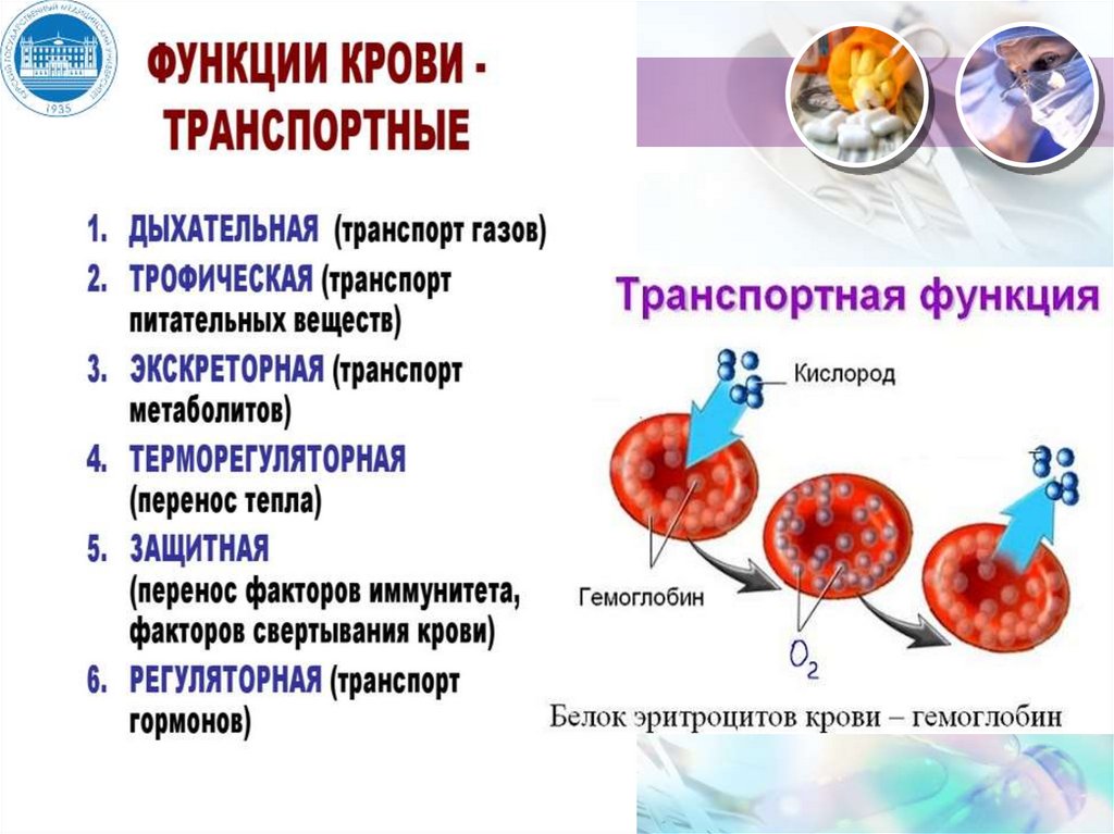 Ферменты крови. Плазмоспецифичные ферменты крови. Дых фермент крови. Методы разделения белков сыворотки крови.