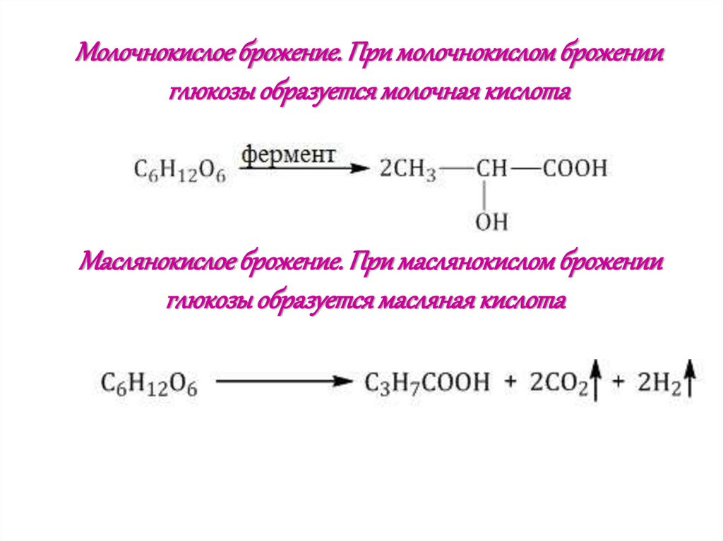 Два типа брожения глюкозы