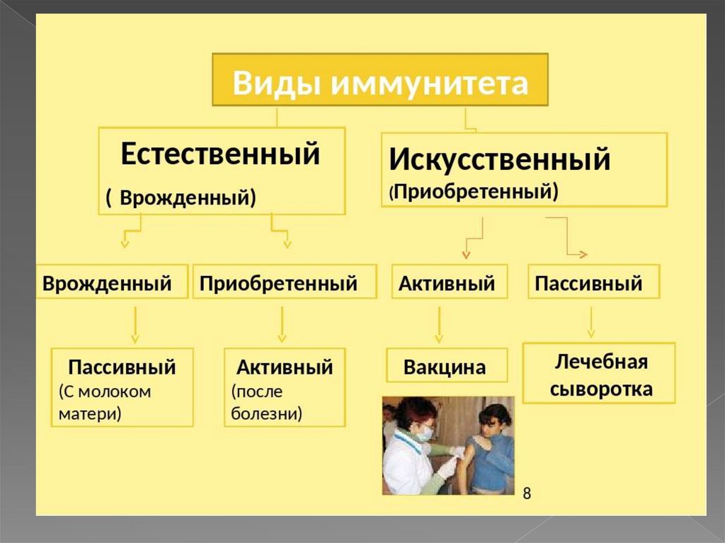 Специфическая защита организма (лекция 5) - презентация онлайн