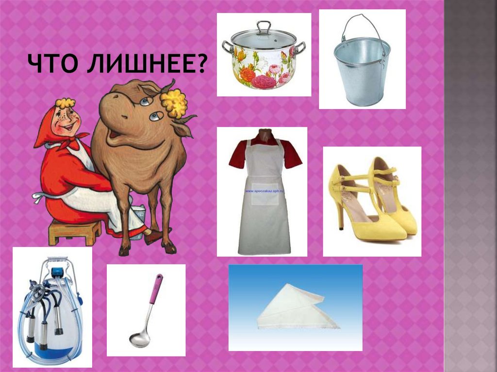 Что лишнее?