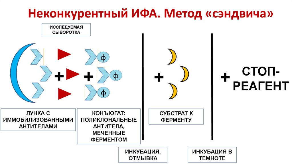 Схема неконкурентного ифа