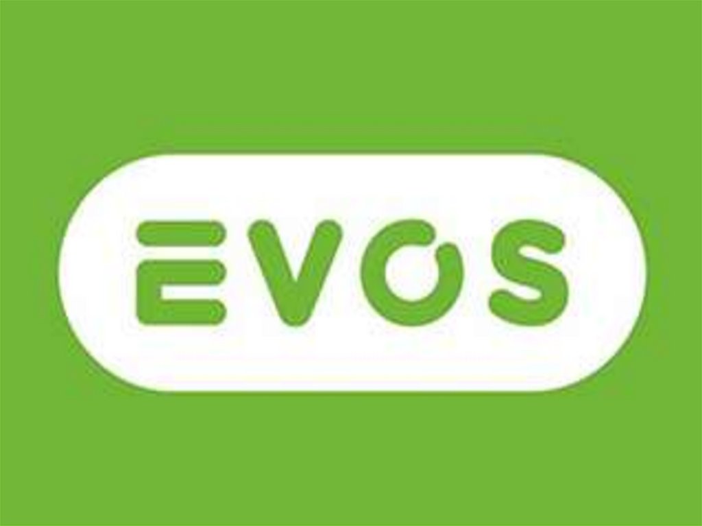 Evos казань. Лого Эвос. Эмблема EVOS. EVOS ресторан. EVOS Ташкент logo.