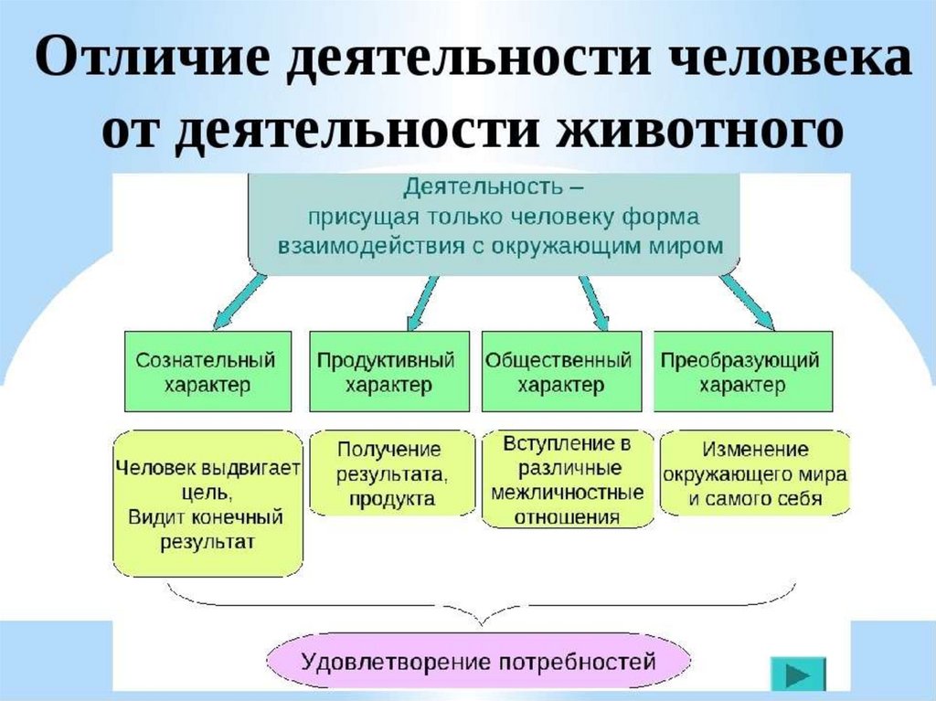 Человек и его деятельность - презентация онлайн