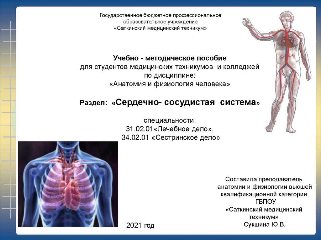 Анатомия и физиология сердечно сосудистой системы презентация