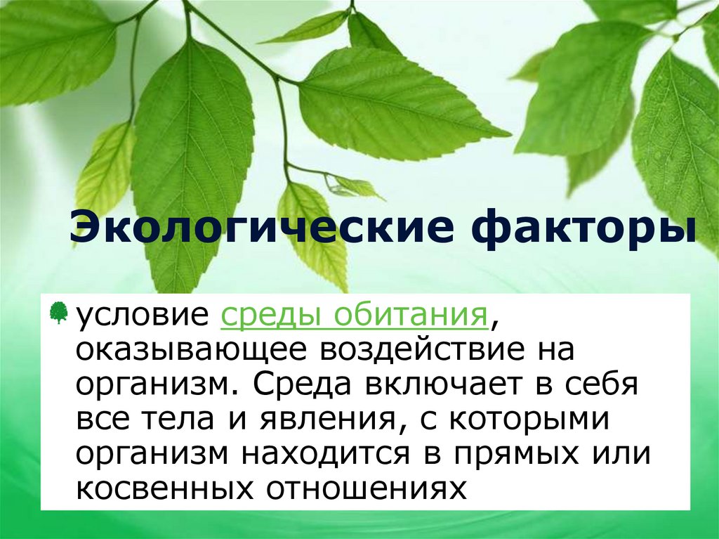 Экологические факторы среды презентация