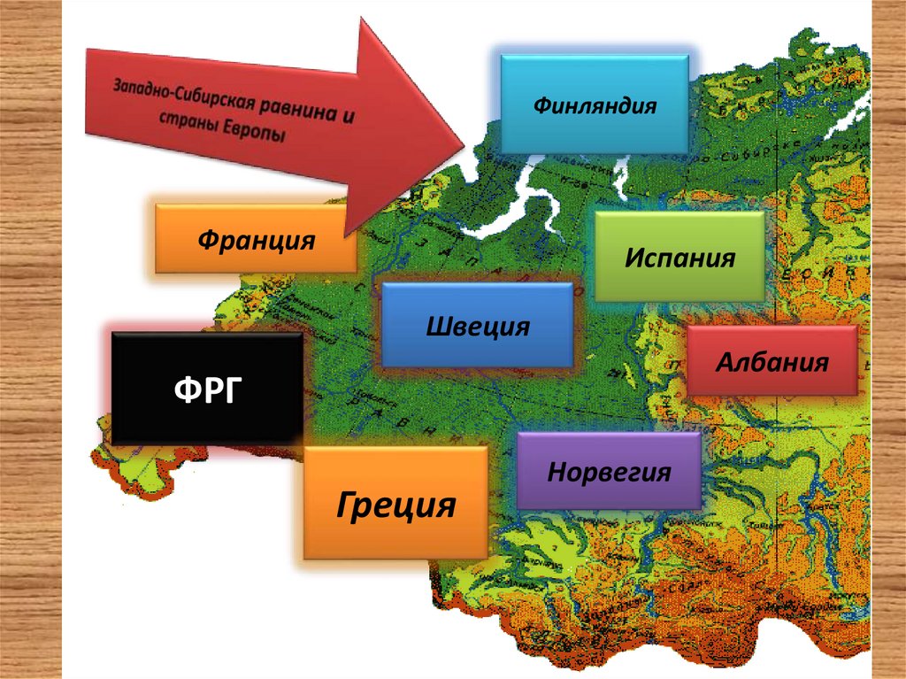 Восточно европейская и западно сибирская равнина презентация