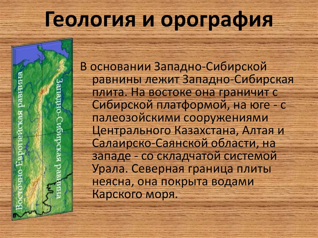 Определим характер рельефа западно сибирской равнины