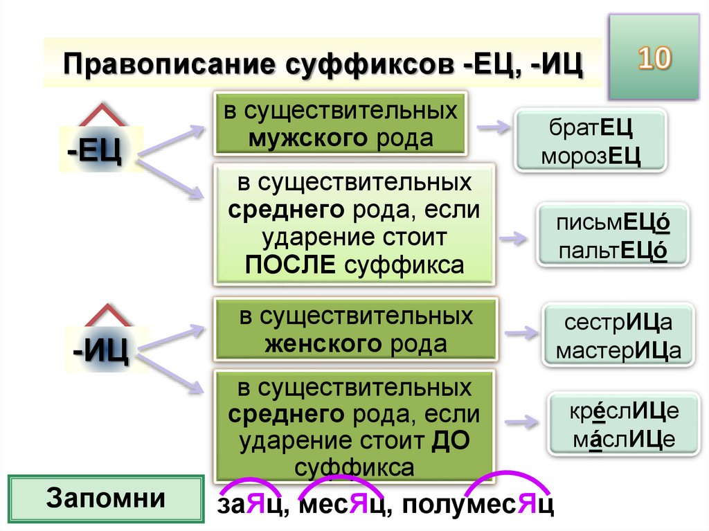 Правила суффиксов ец иц в существительных