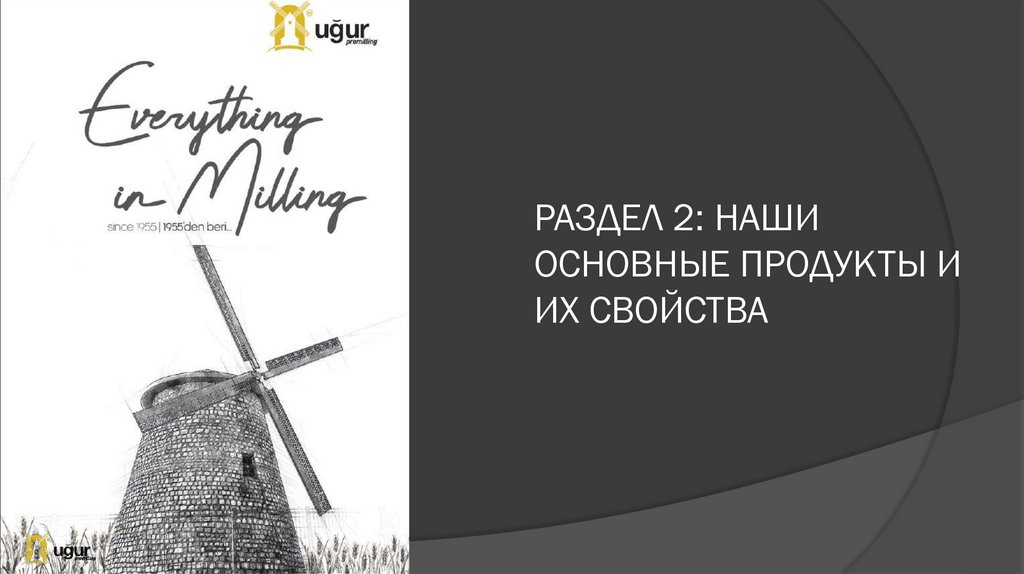 РАЗДЕЛ 2: НАШИ ОСНОВНЫЕ ПРОДУКТЫ И ИХ СВОЙСТВА