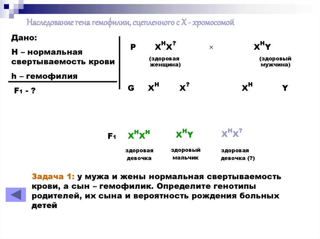 Доминантный ген а определяет развитие. Наследование x хромосомы. Y сцепленное наследование. Скрещивание х и у хромосом. Наследование сцепленное с полом.