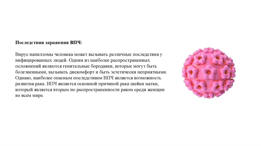 Вирус папилломы человека - презентация онлайн