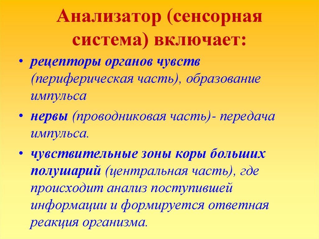 Анализаторы сенсорные системы презентация