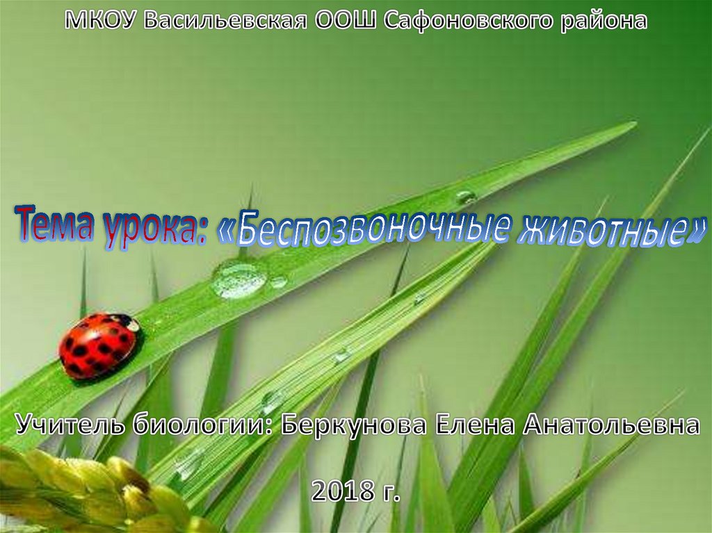 Беспозвоночные животные. Губки - презентация онлайн