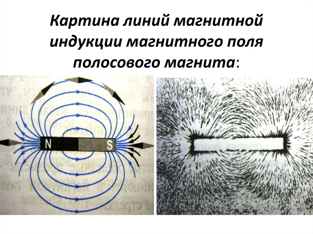 На рисунке изображены постоянные магниты с указанием линий магнитной индукции