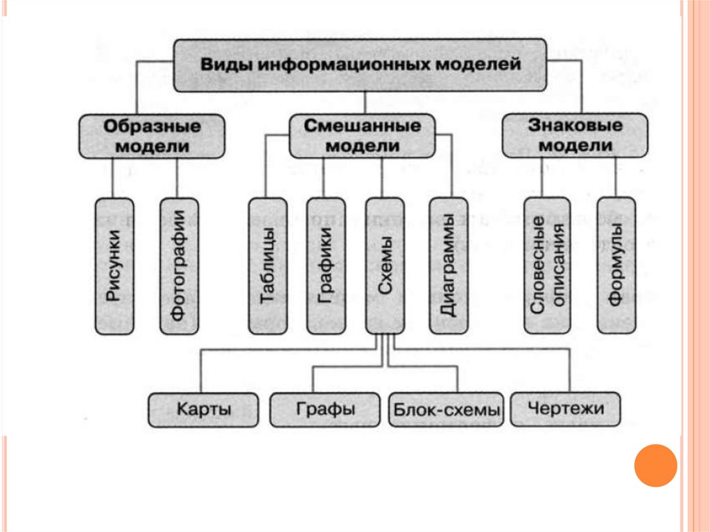 Какие есть виды модели