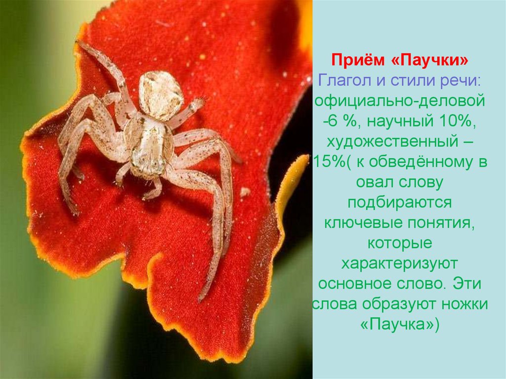 Приём «Паучки» Глагол и стили речи: официально-деловой -6 %, научный 10%, художественный – 15%( к обведённому в овал слову