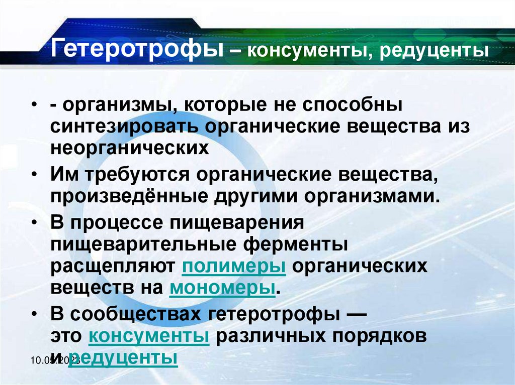 Гетеротрофы консументы. Органические вещества из неорганических. Организмы синтезирующие органические вещества из неорганических. Организмы способные синтезировать органические вещества. Организмы способные сами синтезировать органические вещества.