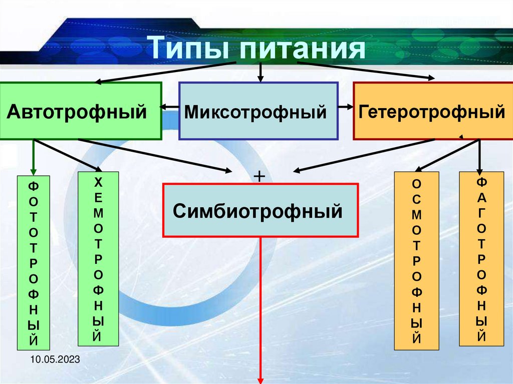 Типы питания клеток