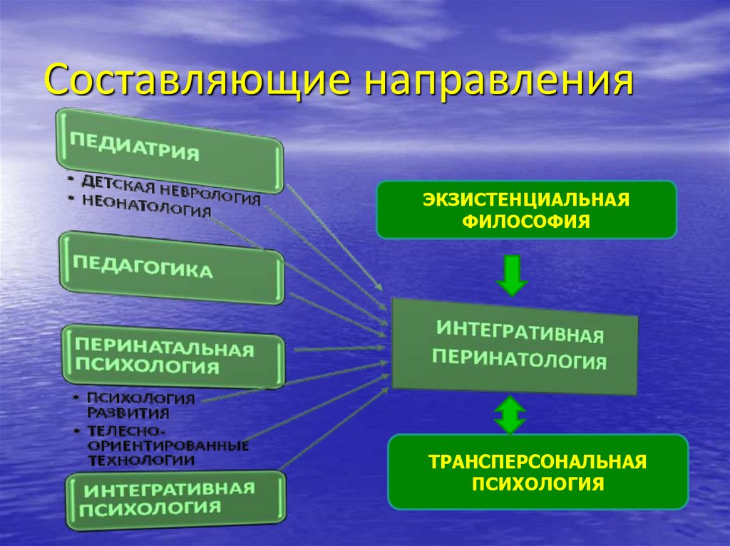 Составляющие направления