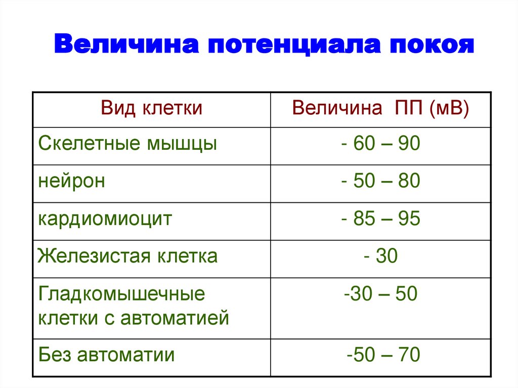 Величина потенциала покоя. Величина потенциала покоя скелетной мышцы. Потенциал покоя мышц. Величина потенциала покоя гладких и скелетных мышц.