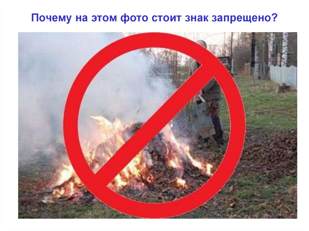 Почему на этом фото стоит знак запрещено?